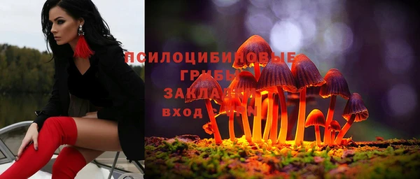винт Алзамай