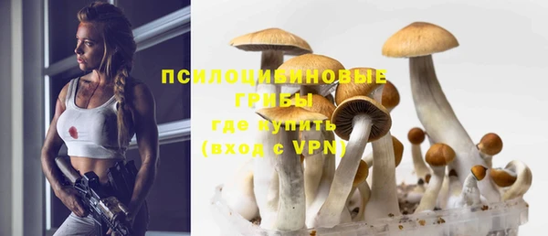 спиды Алексин