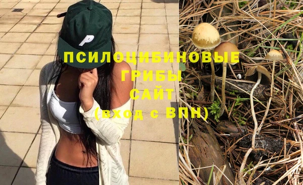 марки lsd Алексеевка